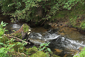 Urlaub im Passauer Land